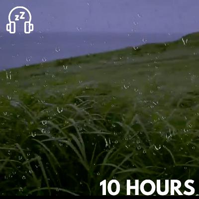 Rain & Wind Sounds for Sleep & Relaxation with Distant Thunder & Ocean Waves | Nature Sounds Relaxing White Noise