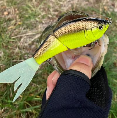 【木曜日】色んなルアーがあるあ～る『DAIWA/スティーズ アプナスジョイント』 from Radiotalk