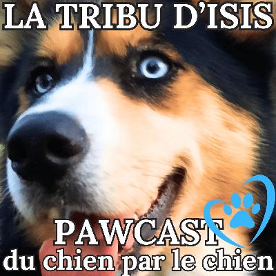 E (00) - présentation E (00) - présentation