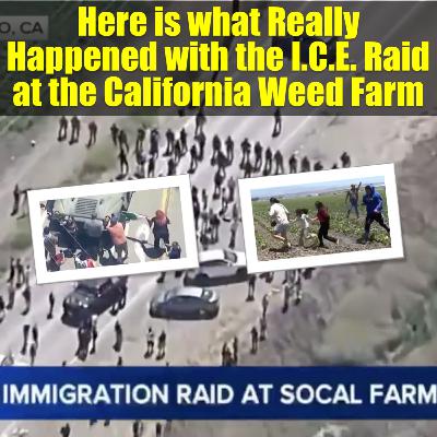 What Really Happened with the I.C.E. Raid at the California Weed Farm?