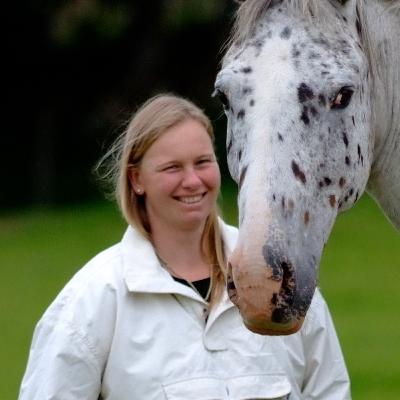 Horse Massage: What a Physiotherapist Actually Wants You to Know Horse Massage: What a Physiotherapist Actually Wants You to Know
