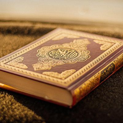 ما هو حال الأصنام يوم القيامة مع المشركين - تفسير سورة الأحقاف - الجزء الثاني
