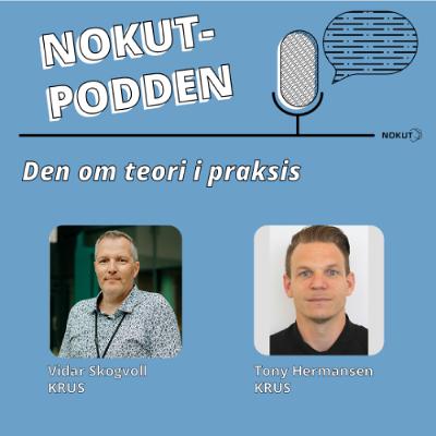 Den om teori i praksis