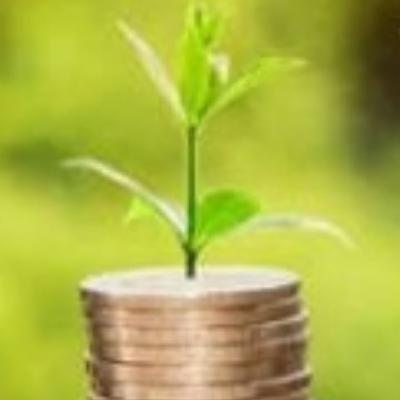 Fund 'a' Friend - Steps of IPO process