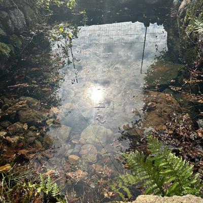 水の禊ぎ場x再生プロジェクトのお話