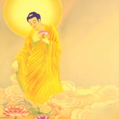 13 佛说无量寿经卷下（13）