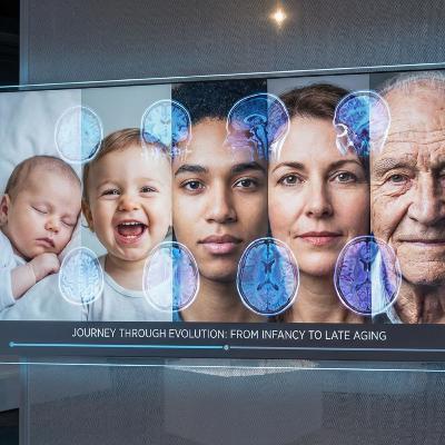 脳は「5つの時代」を生きる──ケンブリッジ大学が明かした人生の転換点