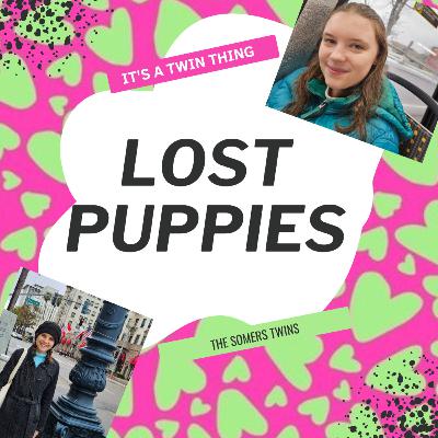 Lost Puppies