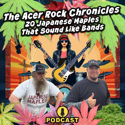 The Acer Rock Chronicles 20 Japanese Maples That Sound Like Bands | MrMaple Show Podcast