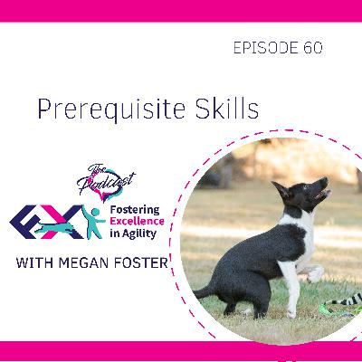 Prerequisite Skills for Group Agility Classes Prerequisite Skills for Group Agility Classes