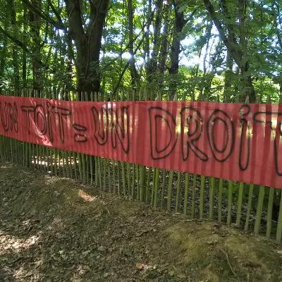 Intervention à la mairie de Rennes pour le droit au logement des personnes exilées