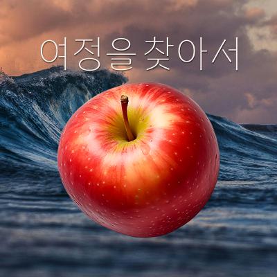 EP.6 혼자 여행한다고 성숙해질 수 있을까