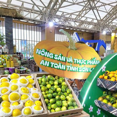 Tin trong nước - Hội chợ lần thứ nhất Mùa thu 2025: Sân khấu lớn để nông sản Việt vươn tầm