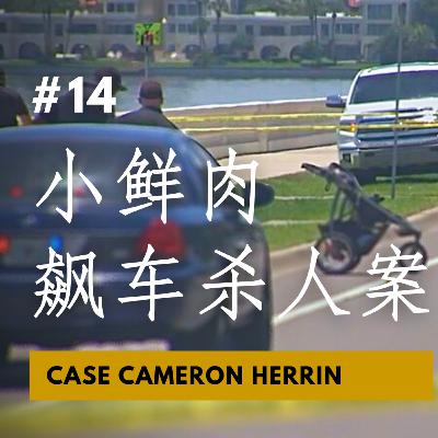 【CASE 14：Tik Tok 爆红小鲜肉飙车杀人案 Case #CameronHerrin 】突破 22亿次观看率 粉丝：请宽恕他…因为他实在是太帅了！