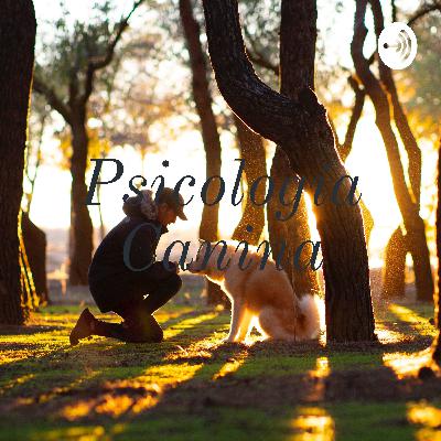 Cuidado de tu mascota