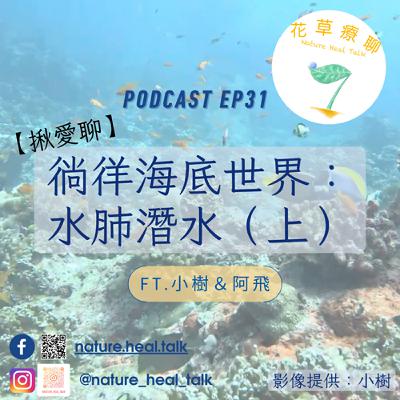 EP31 【揪愛聊】「徜徉海底世界:水肺潛水」(上)ft.小樹、阿飛~在水裡除了看魚還要算數學!水下千萬不要比讚!台灣大魚要去海產店看!? EP31 【揪愛聊】「徜徉海底世界:水肺潛水」(上)ft.小樹、阿飛~在水裡除了看魚還要算數學!水下千萬不要比讚!台灣大魚要去海產店看!?