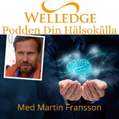 Ljus, Frekvenser & Naturlig Vitalitet – Samtal med Fredrik Paulún