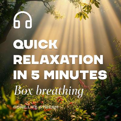 Quick relaxation in 5 minutes. Box breathing