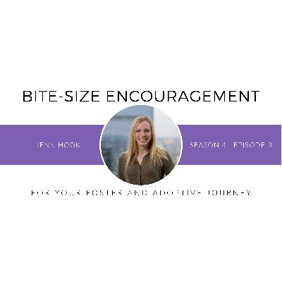 "Same Here" Emotional Support with Your Kids from Hard Places "Same Here" Emotional Support with Your Kids from Hard Places