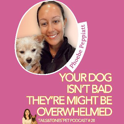 28: Your Dog Isn’t “Bad”, They’re Overwhelmed (A Dog Trainer Explains Why) with Phoebe Peppiatt from Double Woof Dog Training 28: Your Dog Isn’t “Bad”, They’re Overwhelmed (A Dog Trainer Explains Why) with Phoebe Peppiatt from Double Woof Dog Training