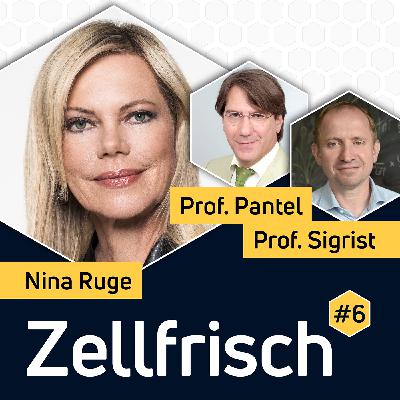 #06 Das Neueste aus der Demenzforschung