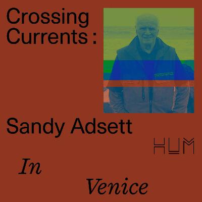 Sandy Adsett at the 60th Venice Biennale Sandy Adsett at the 60th Venice Biennale
