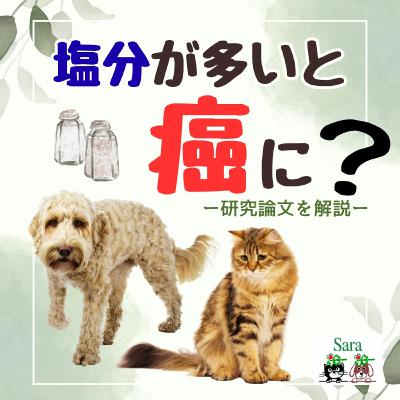 #1004. 犬猫も塩分の多い食事は癌につながる？研究論文から解説！