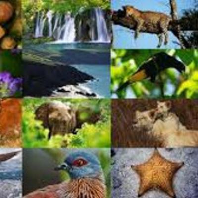 Biodiversidad mexicana