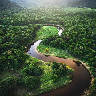 The Amazon River and Rainforest