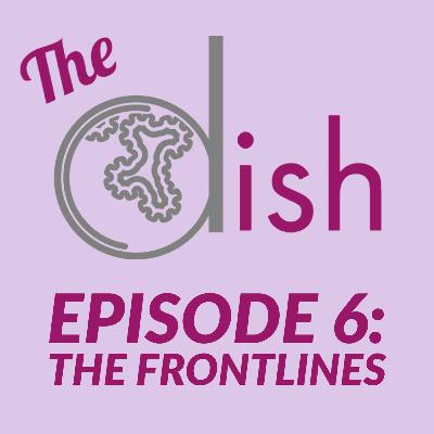 Episode 6: The Frontlines - Deanne Cianfagna and Mary Louise Petersen Episode 6: The Frontlines - Deanne Cianfagna and Mary Louise Petersen