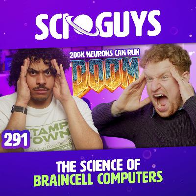 291: The Science of Human Braincell Computers 291: The Science of Human Braincell Computers