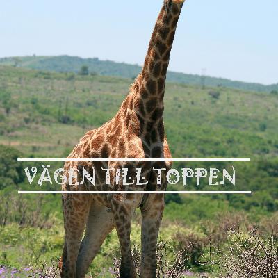 Vägen Till Toppen - Adam Kanyama