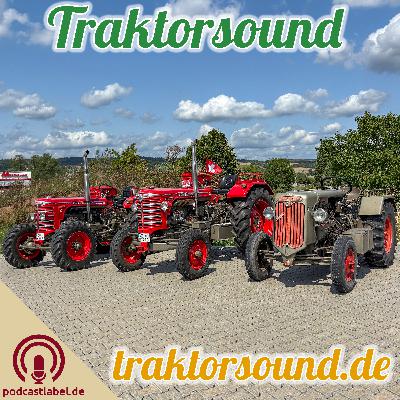 TS: #31 - Retze Ruure Traktor - Hürlimann D-100 & D-100 'S' & D-95 TS: #31 - Retze Ruure Traktor - Hürlimann D-100 & D-100 'S' & D-95