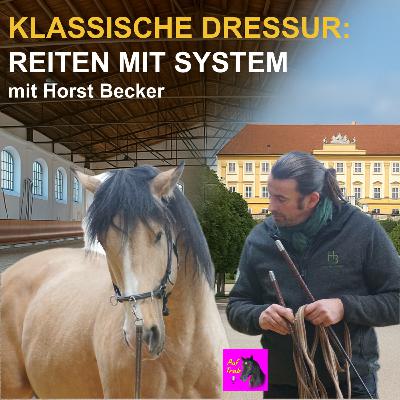 Horst Becker: Reiten mit System