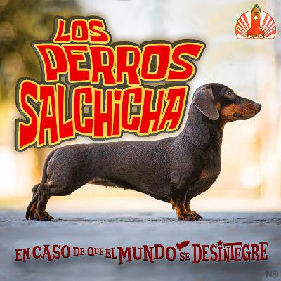 S28 Ep6262: Los Perros Salchicha
