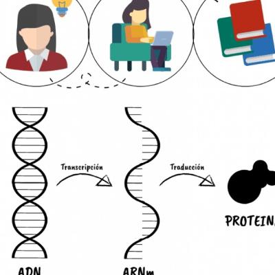 Dogma central de la Biología molecular