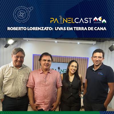 T4 | 18 Uvas em terra de cana T4 | 18 Uvas em terra de cana