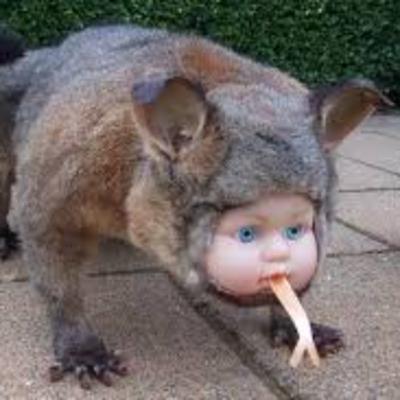 Baby Monster Baby Monster