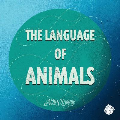 The Language of Animals