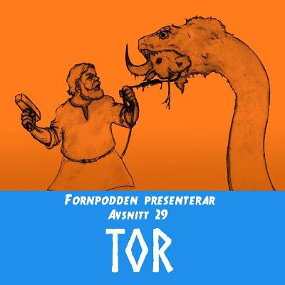 Avsnitt 29 - Tor