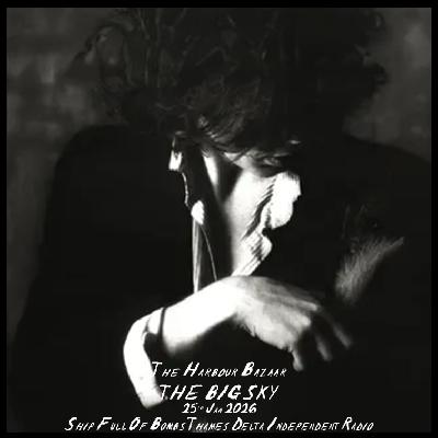 The Harbour Bazaar with Steven Hastings & Davey Hal: The Big Sky - Jan26