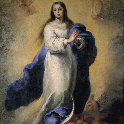 Speciale Immacolata Concezione B.V.M. Speciale Immacolata Concezione B.V.M.