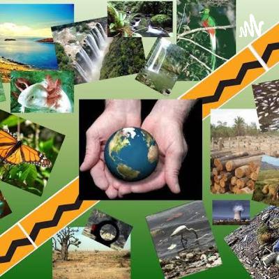 La contaminacion afecta a nuestro bienestar