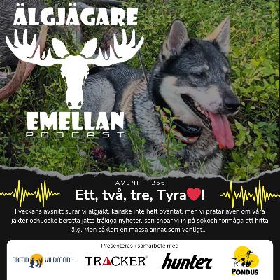 256. Ett, två, tre, Tyra❤️!