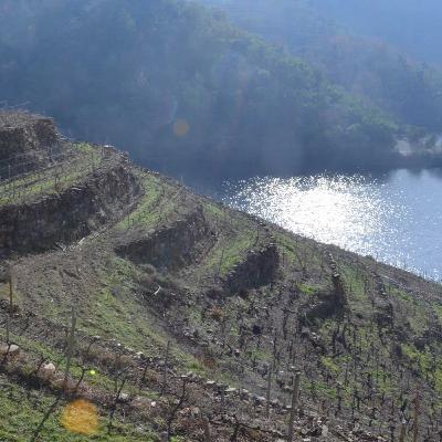 Galicia: an introduction