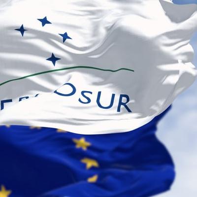 Why did Ireland vote against the Mercosur Deal?