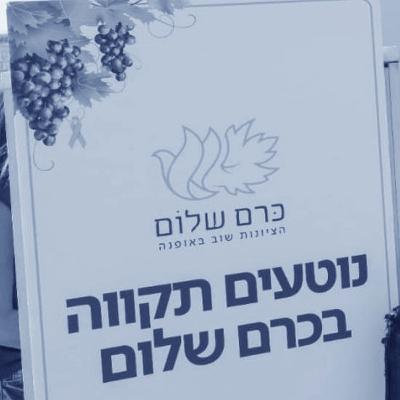 אין מקום אחר - כרם שלום