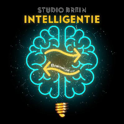 Mens versus machine. Wat AI ons kan leren over onze eigen intelligentie