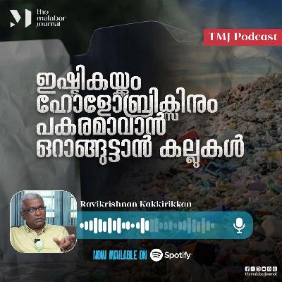 ഇഷ്ടികയ്ക്കും ഹോളോബ്രിക്സിനും പകരമാവാൻ ഒറാങ്ങുട്ടാൻ കല്ലുകൾ