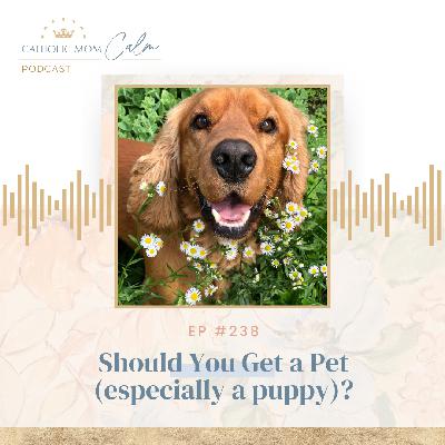 Should I Get a Pet?